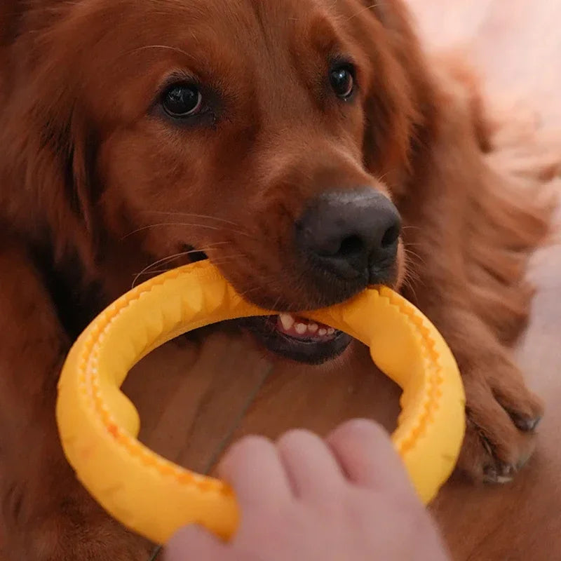 Dog Ring Toys