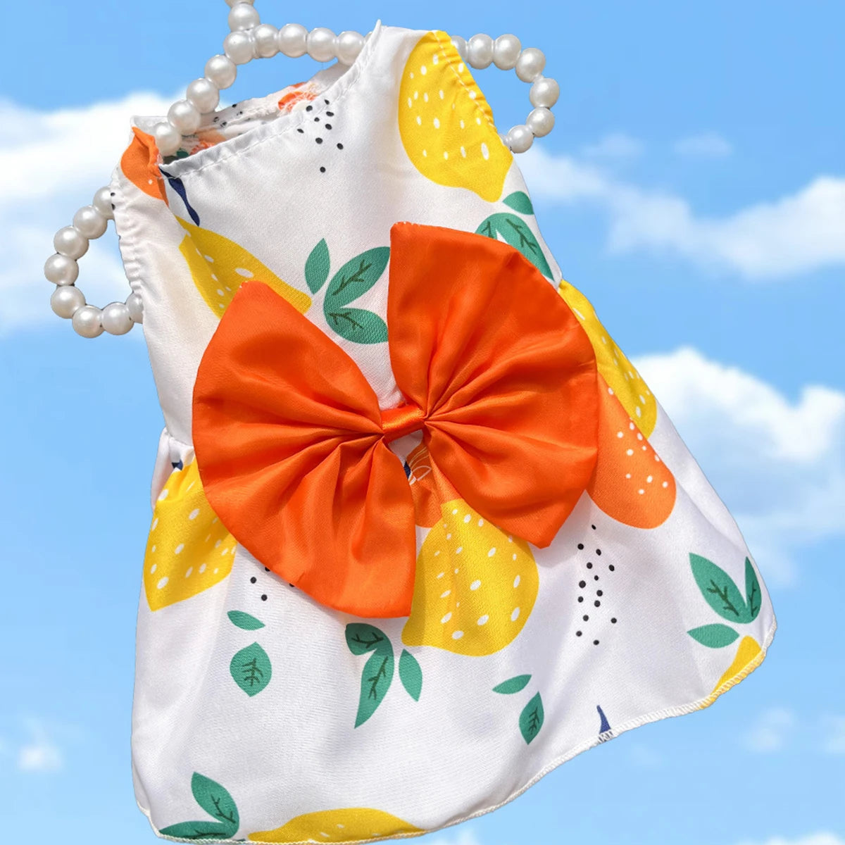 Colorful Dog Skirt