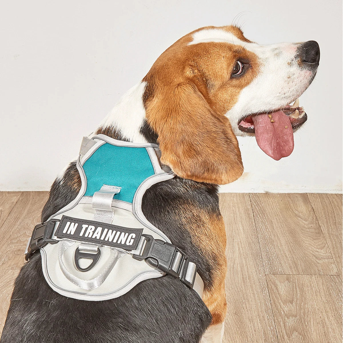 Adjustable Reflective Pet Harness for Medium Large Dogs