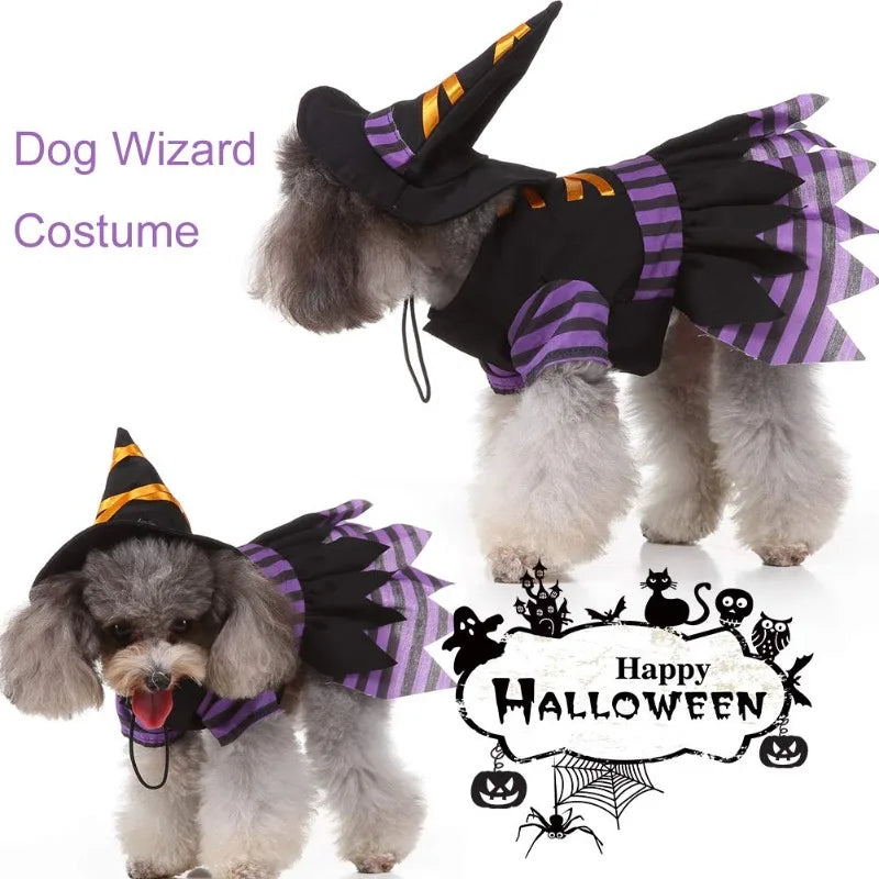 Dog Cat Witch Dress Costumes