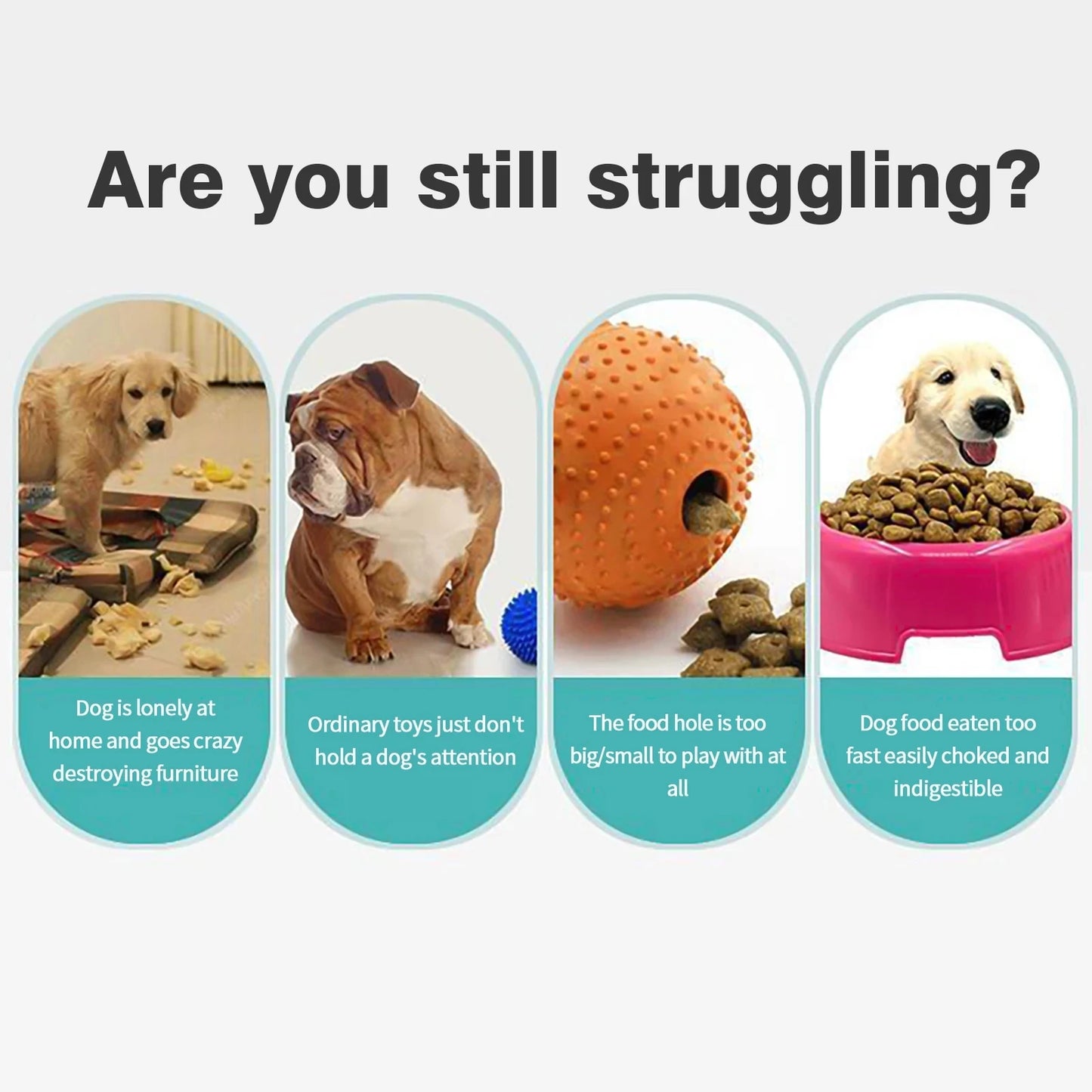 Slow Feed Dog Toy
