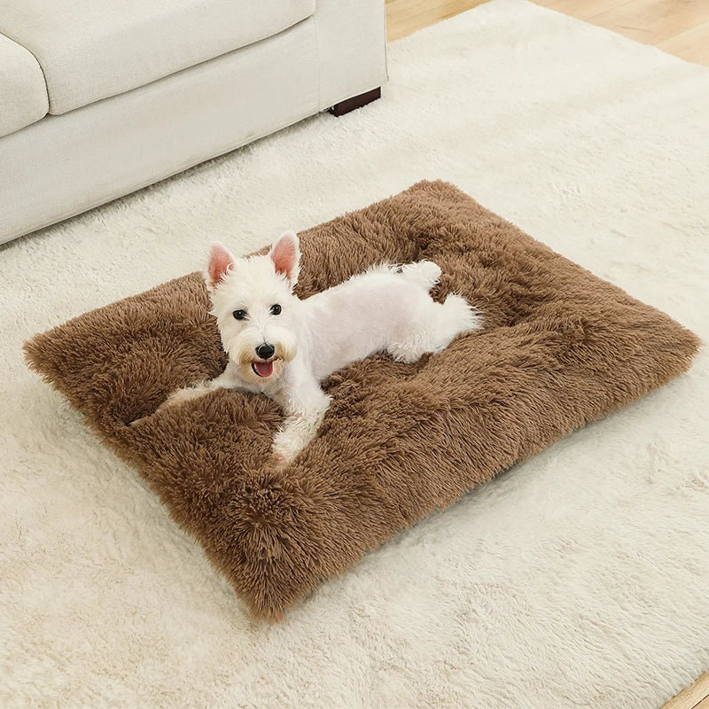 Best Pet Dog Bed