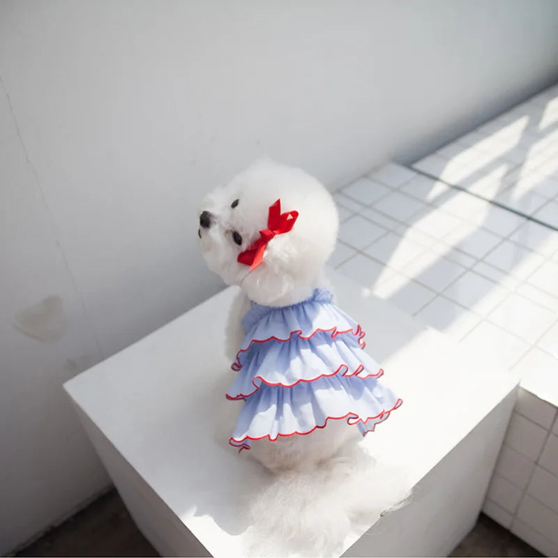 Cute dress