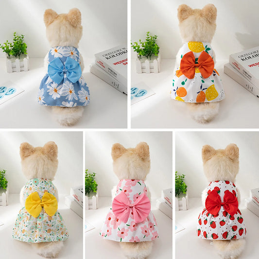 Colorful Dog Skirt