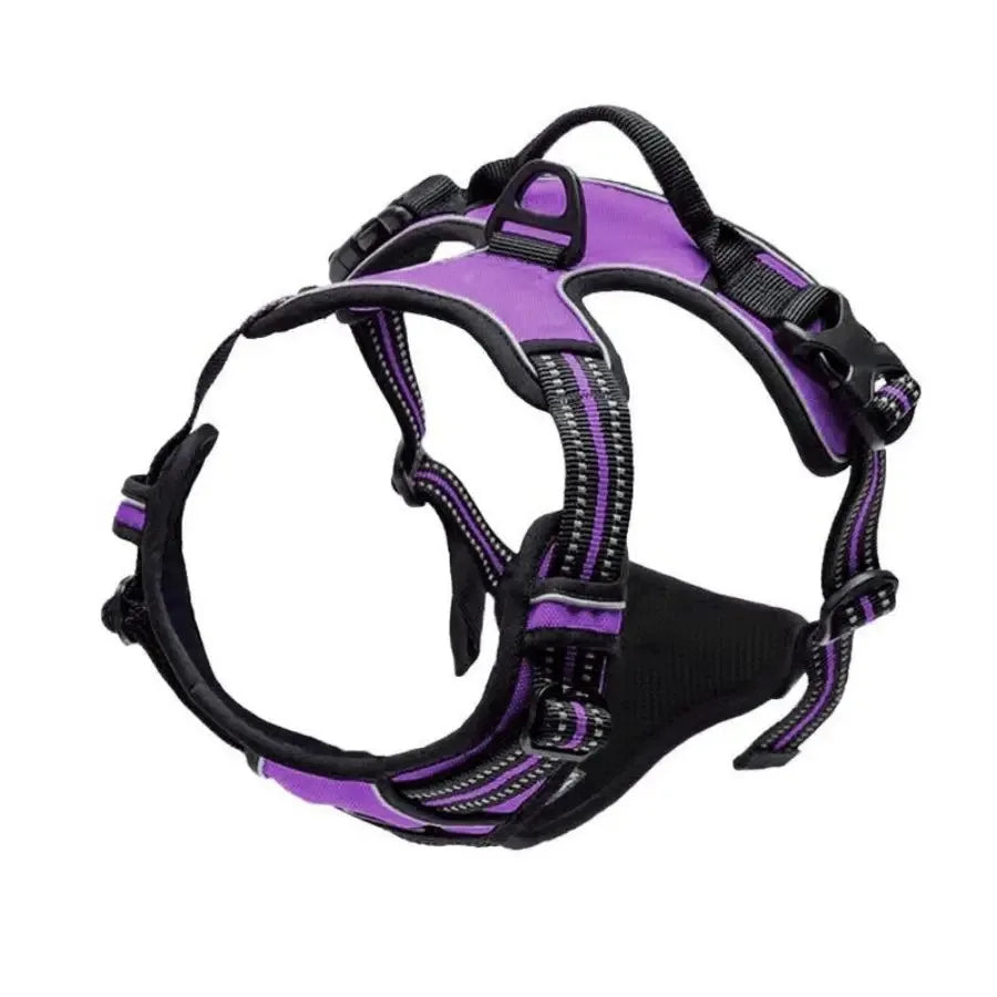 Big Vests Leash
