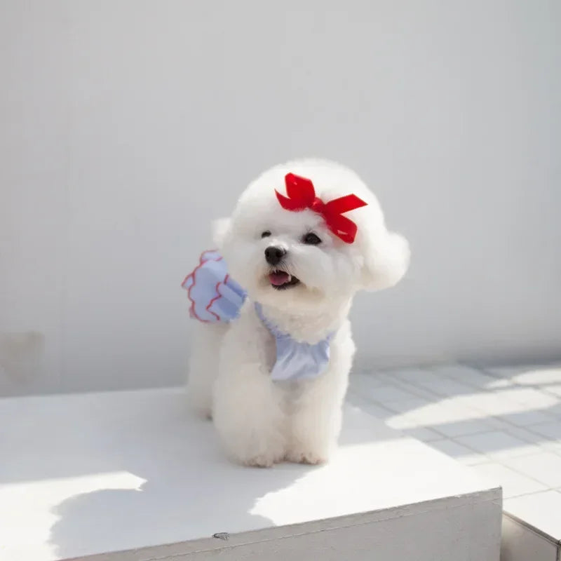 Pet Clothing Chihuahua Teddy Skirt