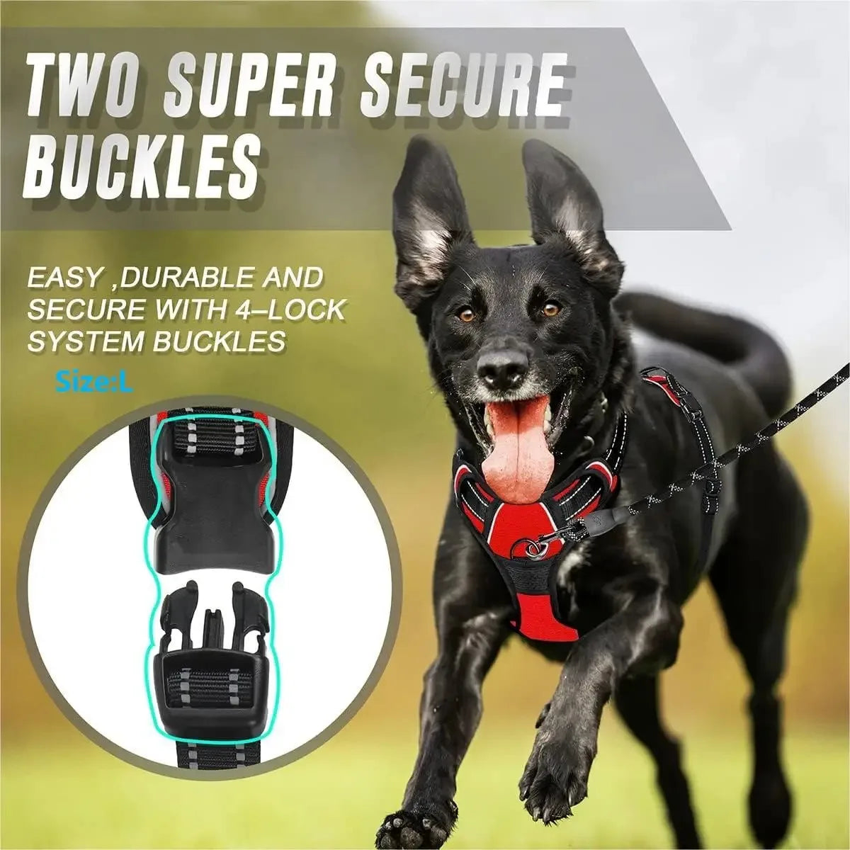 Big Vests Leash