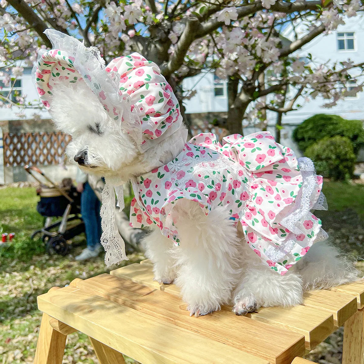 Floral dress, princess dress for dogs