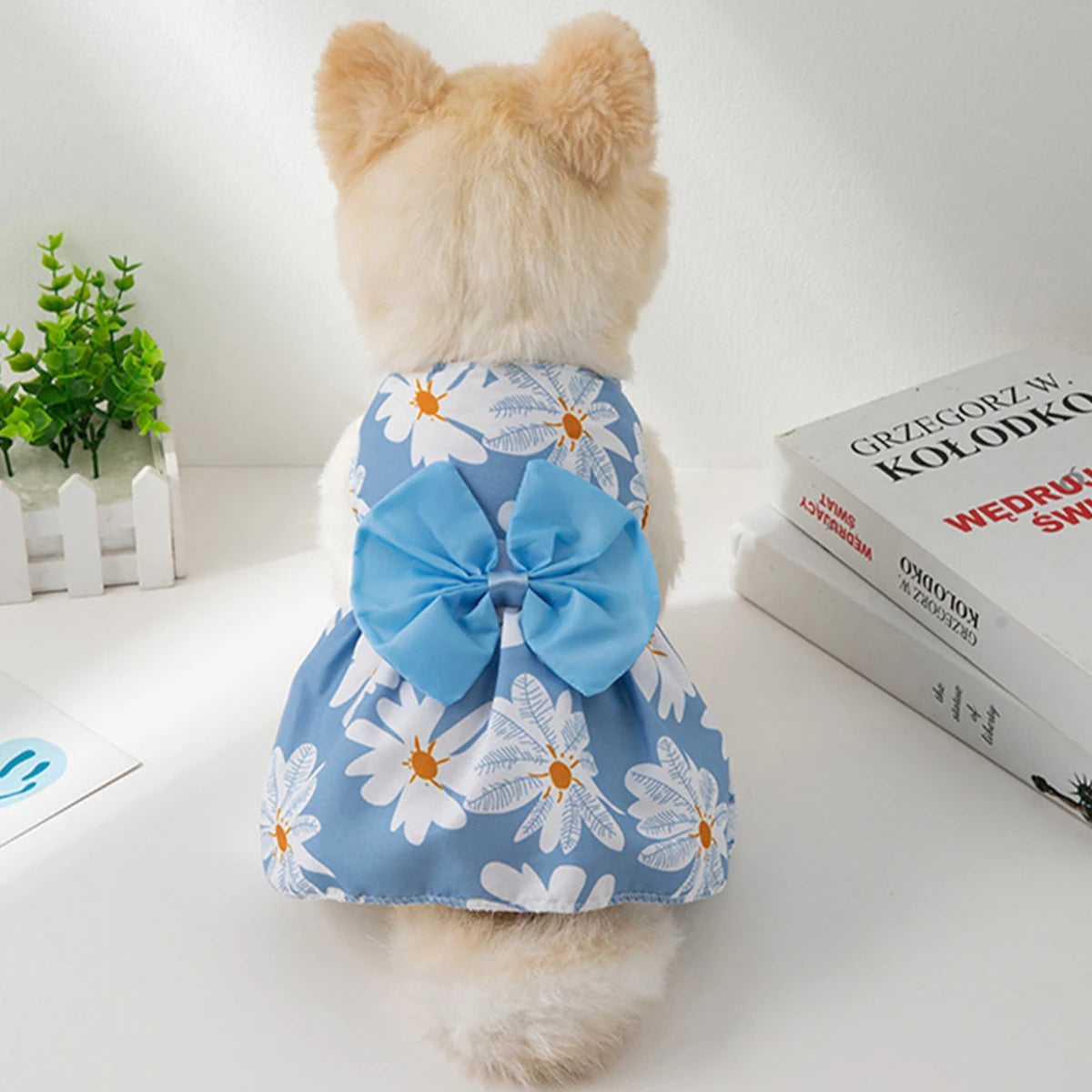 Colorful Dog Skirt