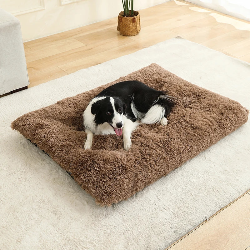 Best Pet Dog Bed