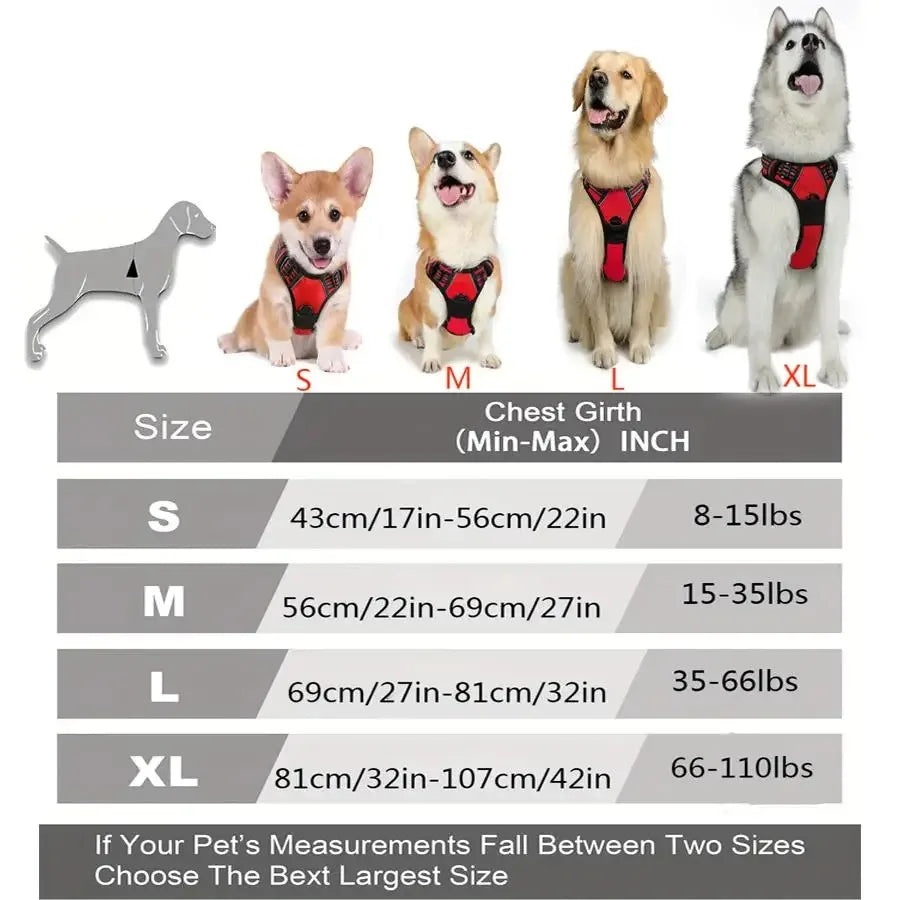 Big Vests Leash