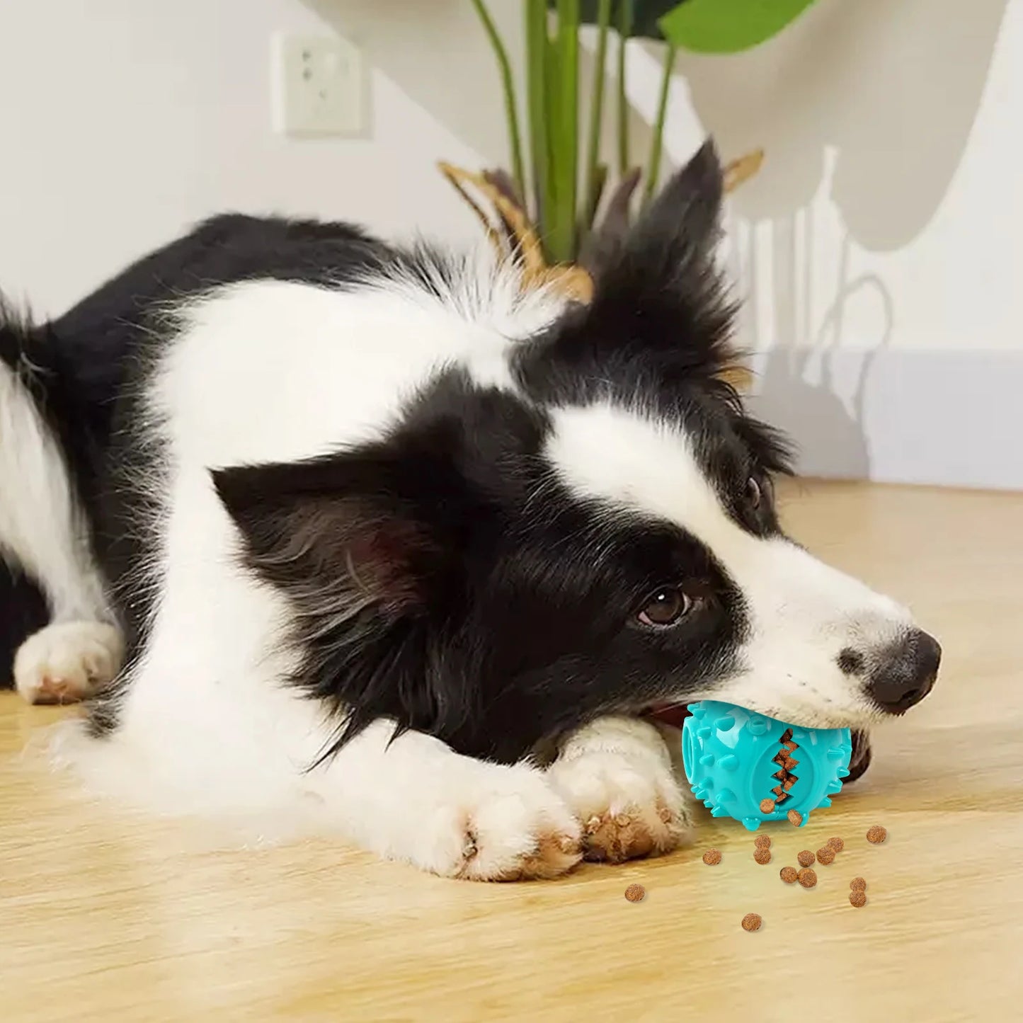 Dog Grinding Teeth Toys