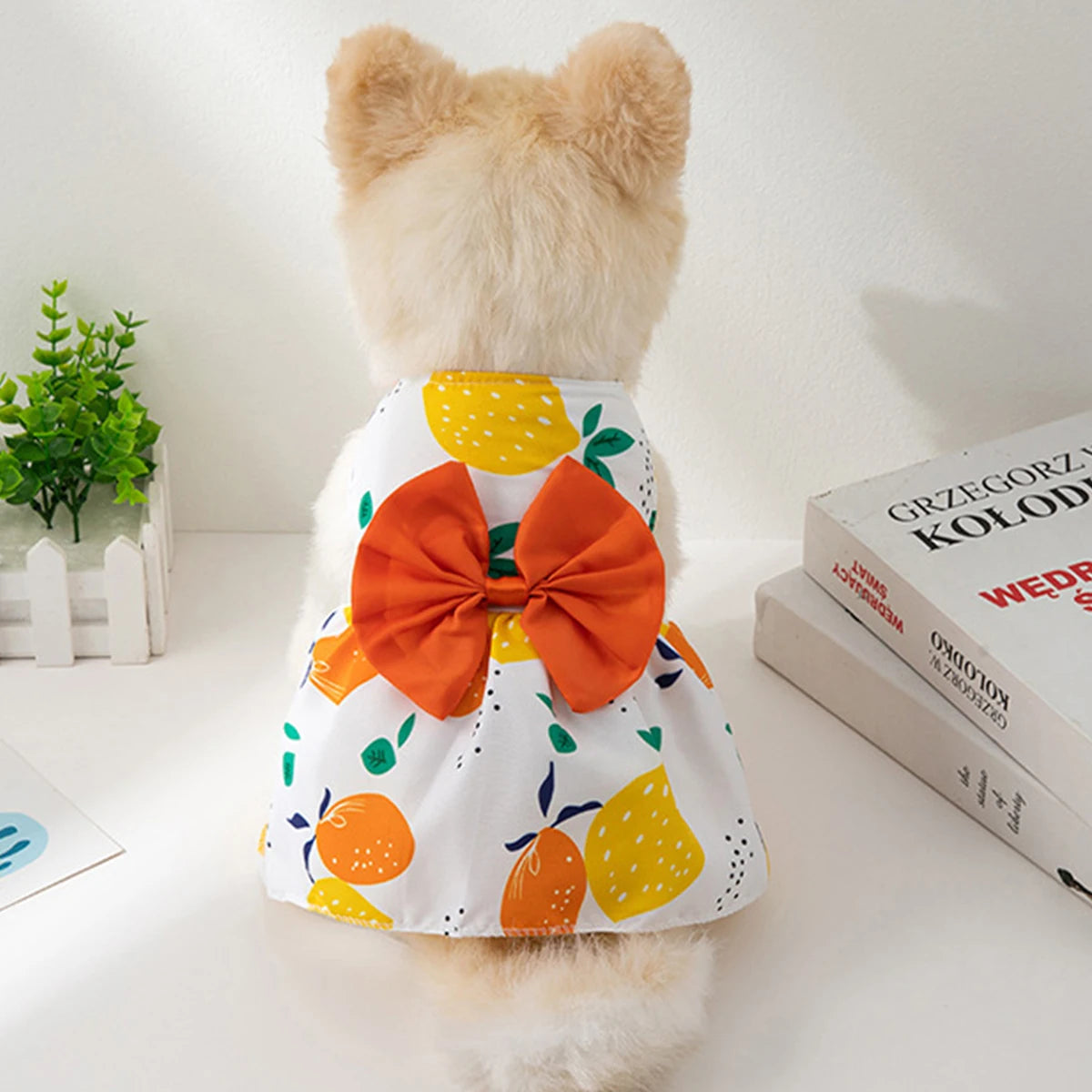Colorful Dog Skirt