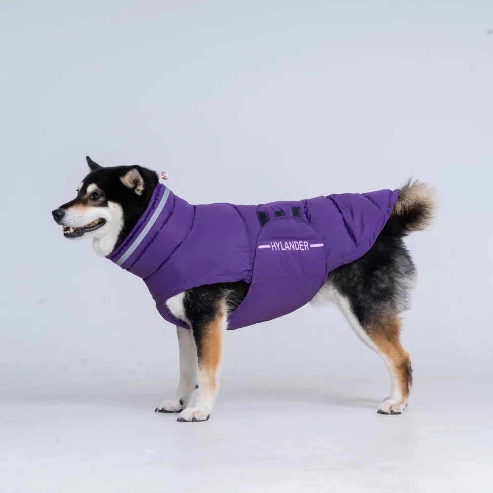 Costumes Jacket For Dogs