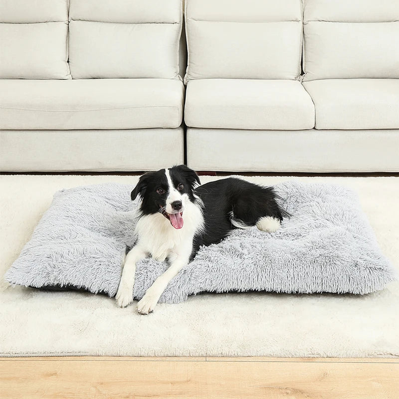 Best Pet Dog Bed