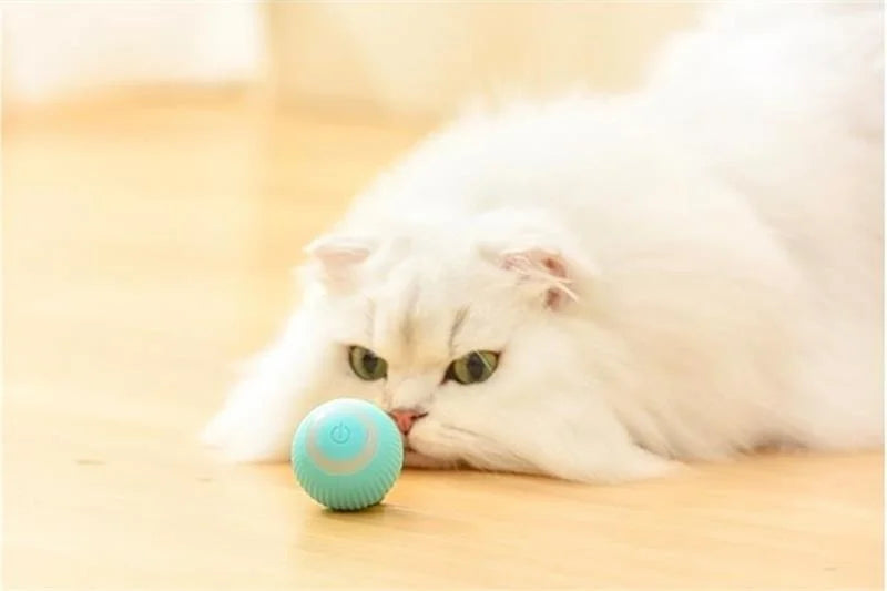 Auto Rolling Ball Self-moving Puppy Games Toys