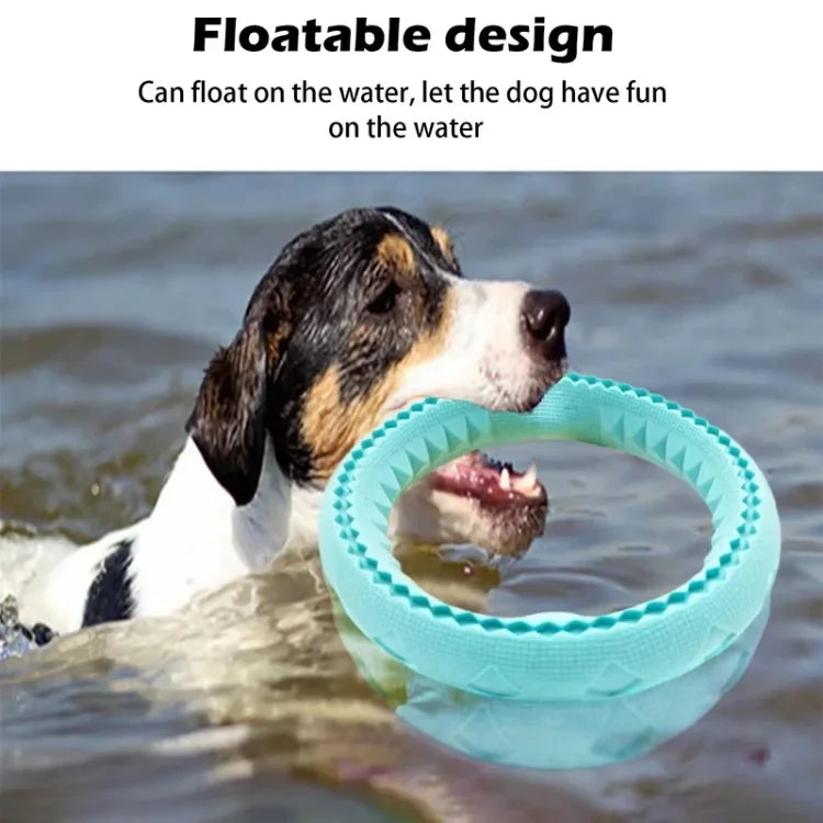 Dog Ring Toys