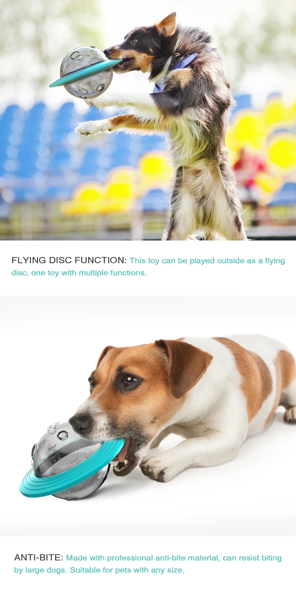 Slow Feed Dog Toy