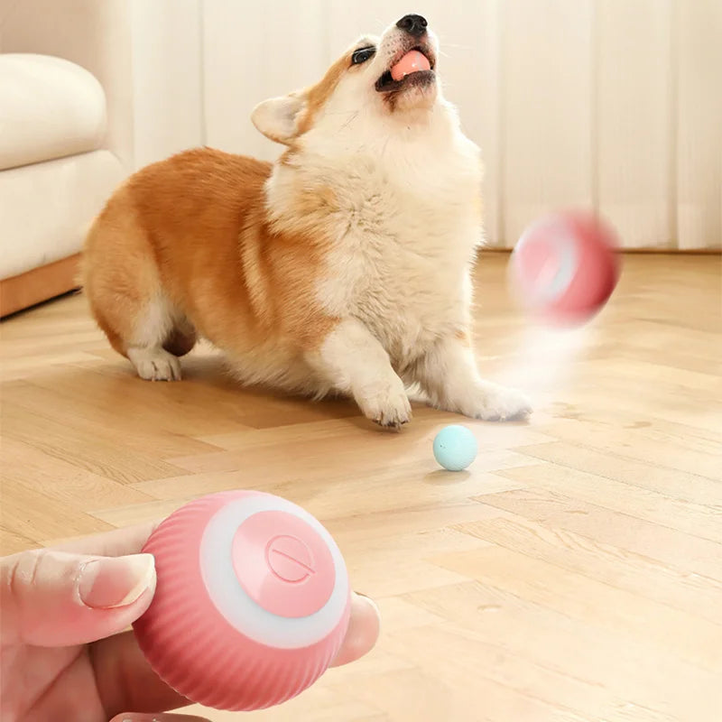 Auto Rolling Ball Self-moving Puppy Games Toys