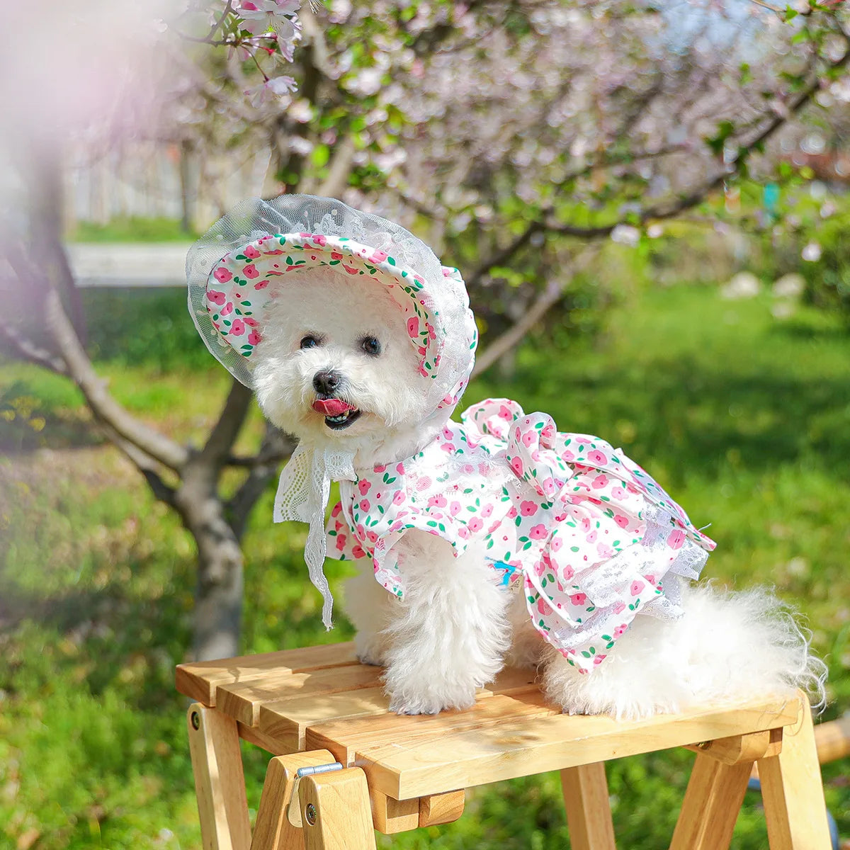 Floral dress, princess dress for dogs
