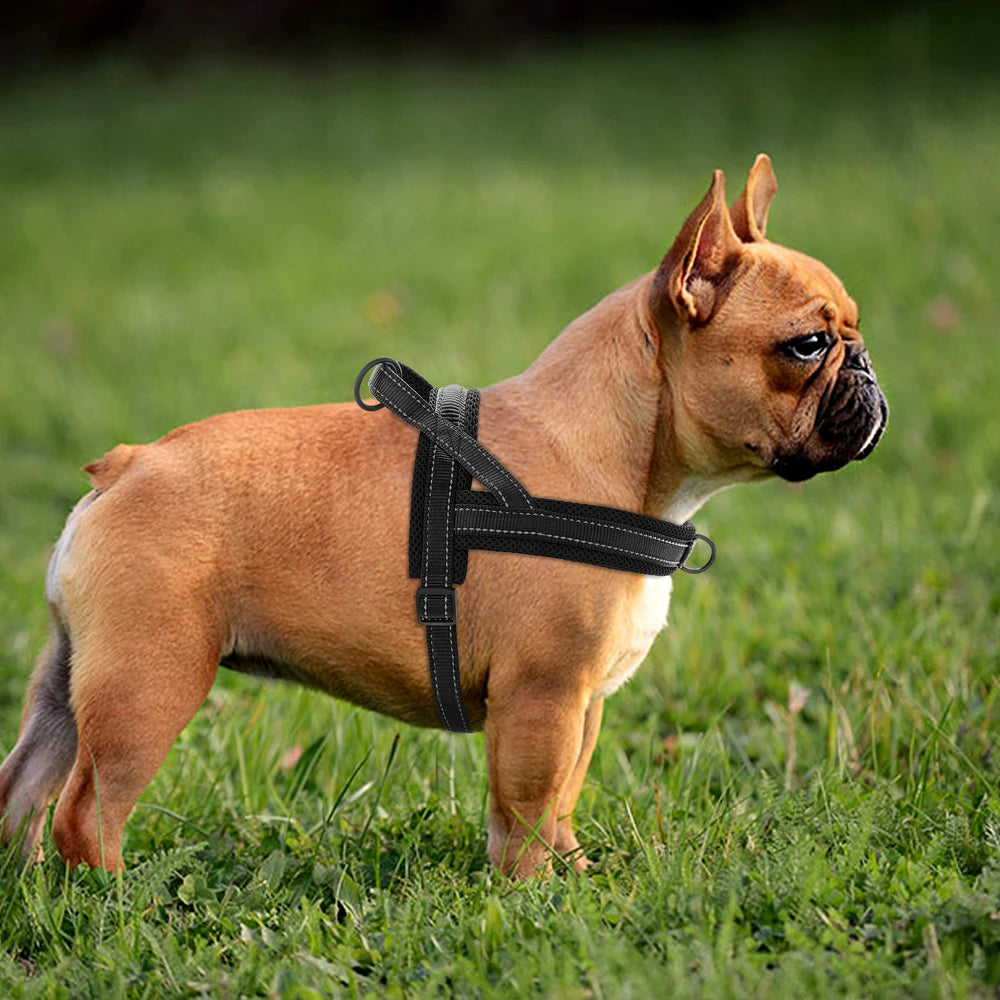 No Pull Dog Nylon Pet Harness