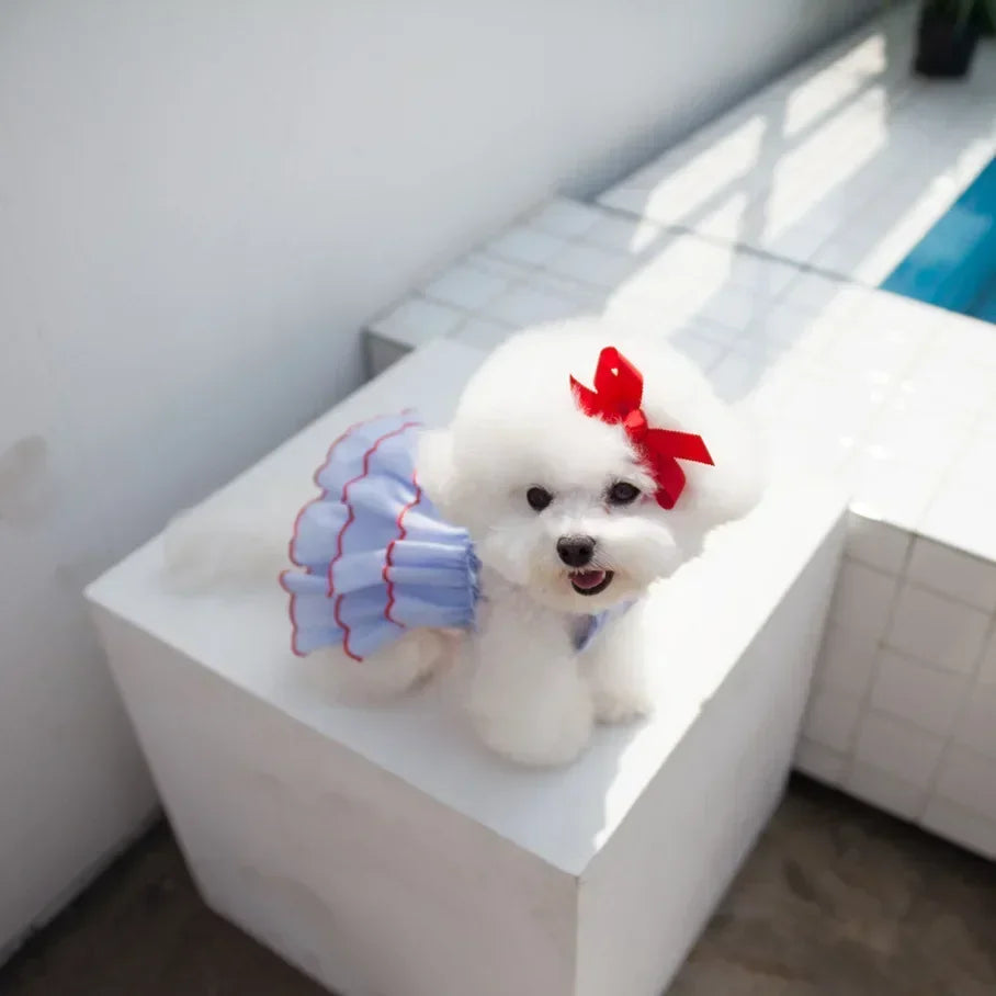 Pet Clothing Chihuahua Teddy Skirt