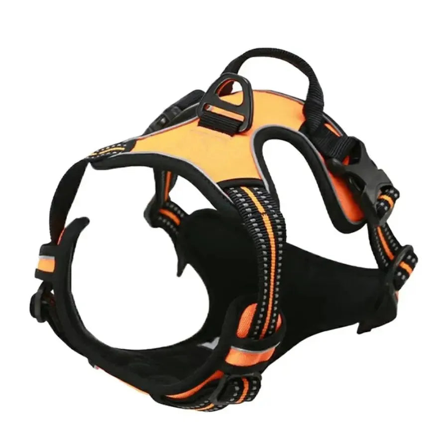 Big Vests Leash