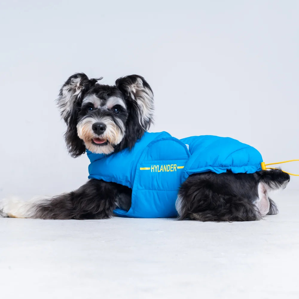 Costumes Jacket For Dogs