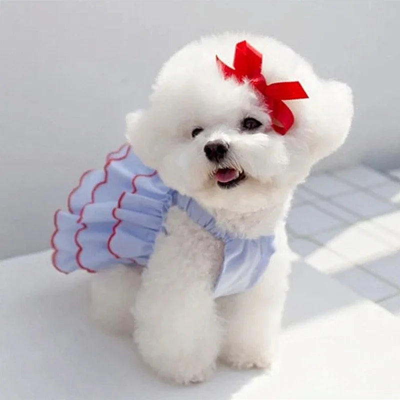 Cute dress