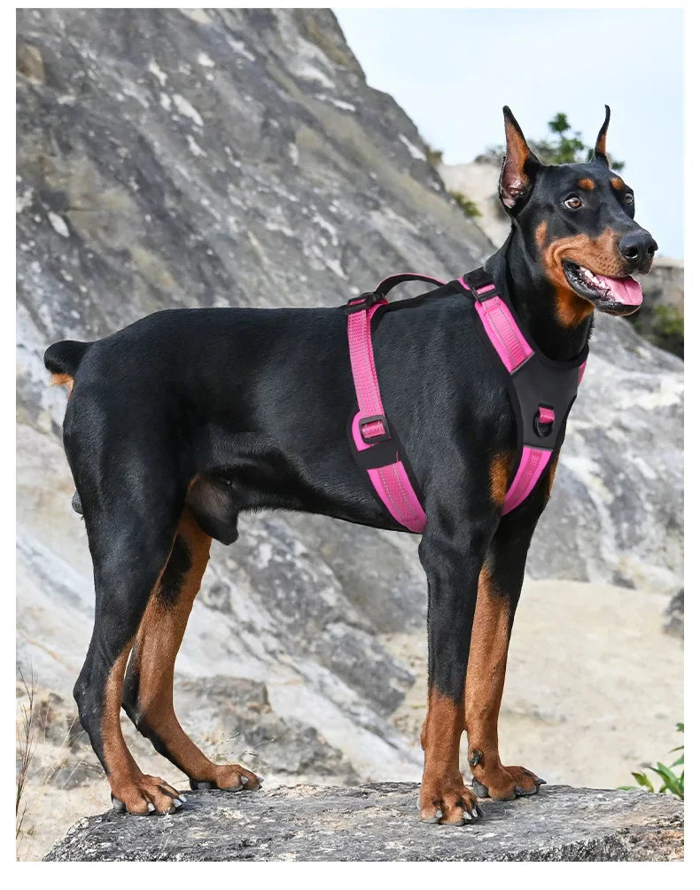 No Pull Harness