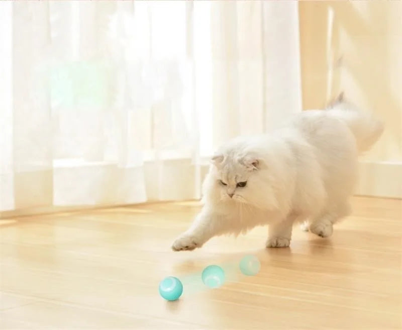 Auto Rolling Ball Self-moving Puppy Games Toys