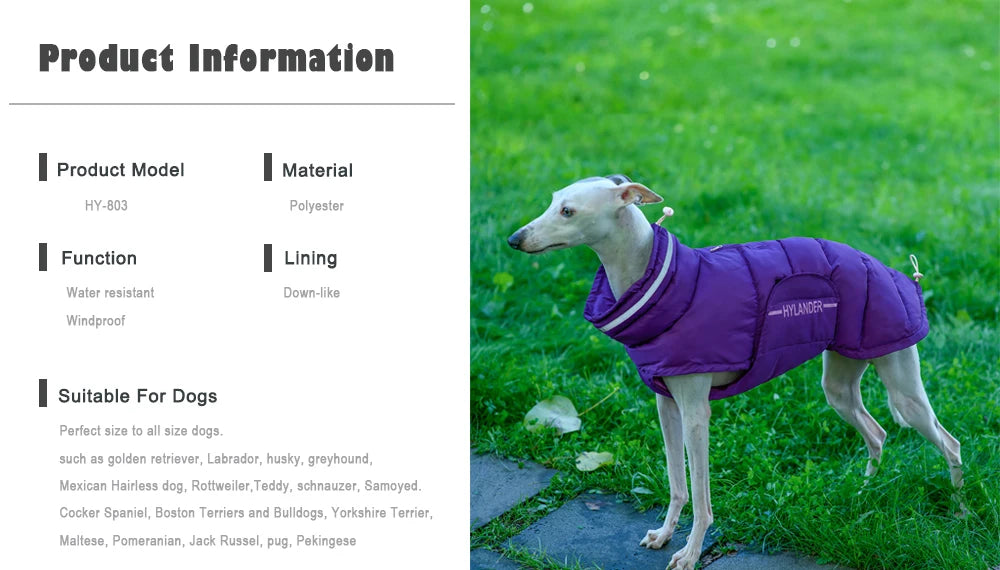 Costumes Jacket For Dogs
