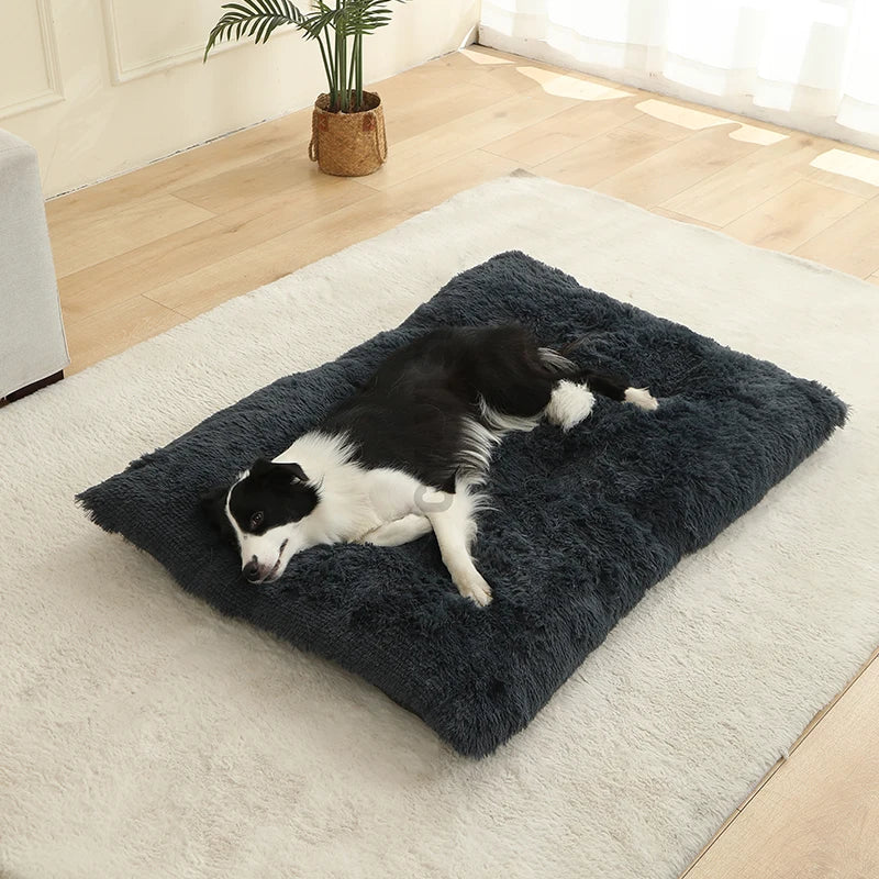 Best Pet Dog Bed