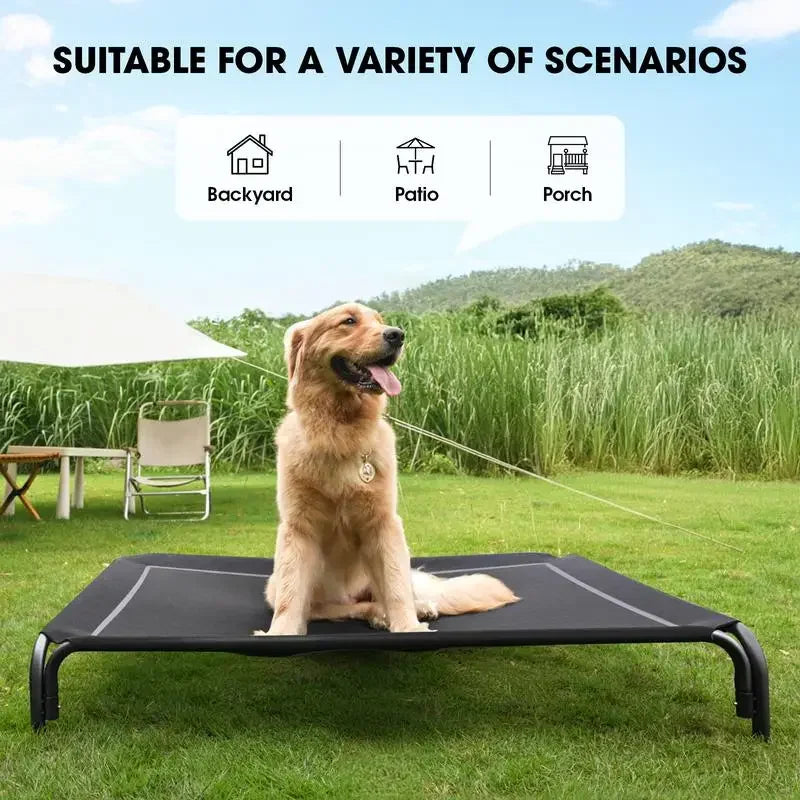 Elevated Dog Bed for Large Dogs