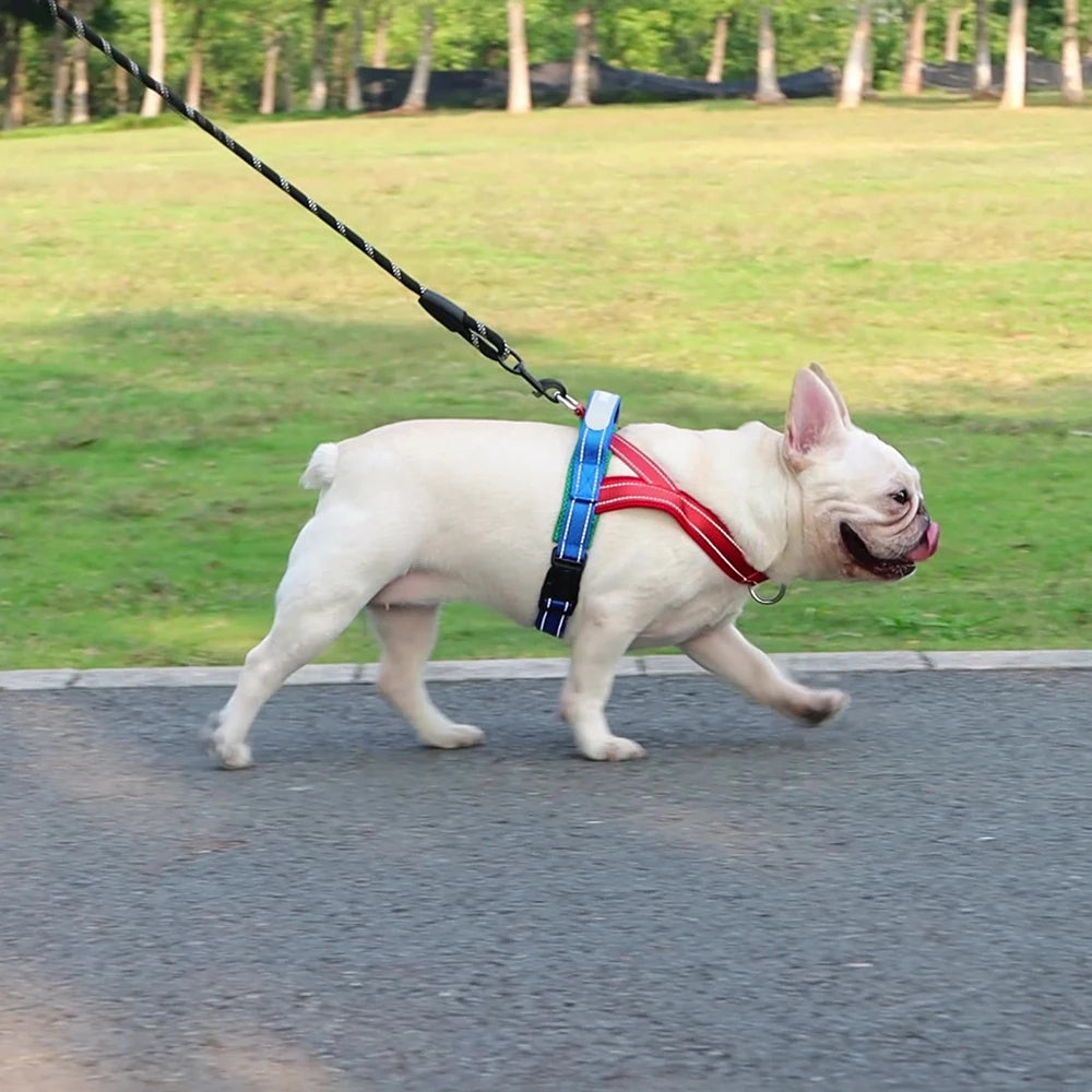 French Bulldog Harness - No-Pull Padded Vest
