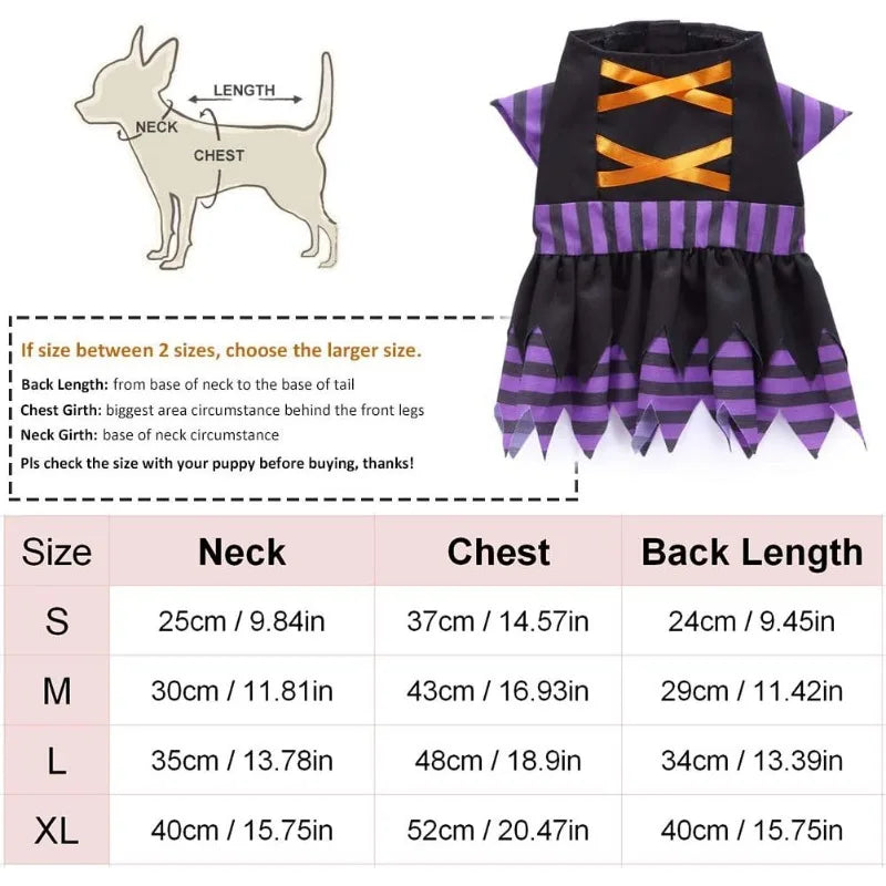 Dog Cat Witch Dress Costumes
