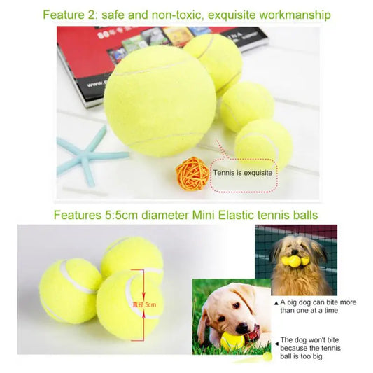 Interactive Tennis Ball Toy for Dogs