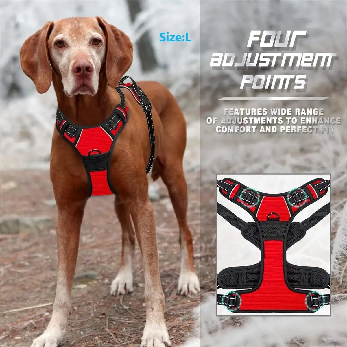 Big Vests Leash