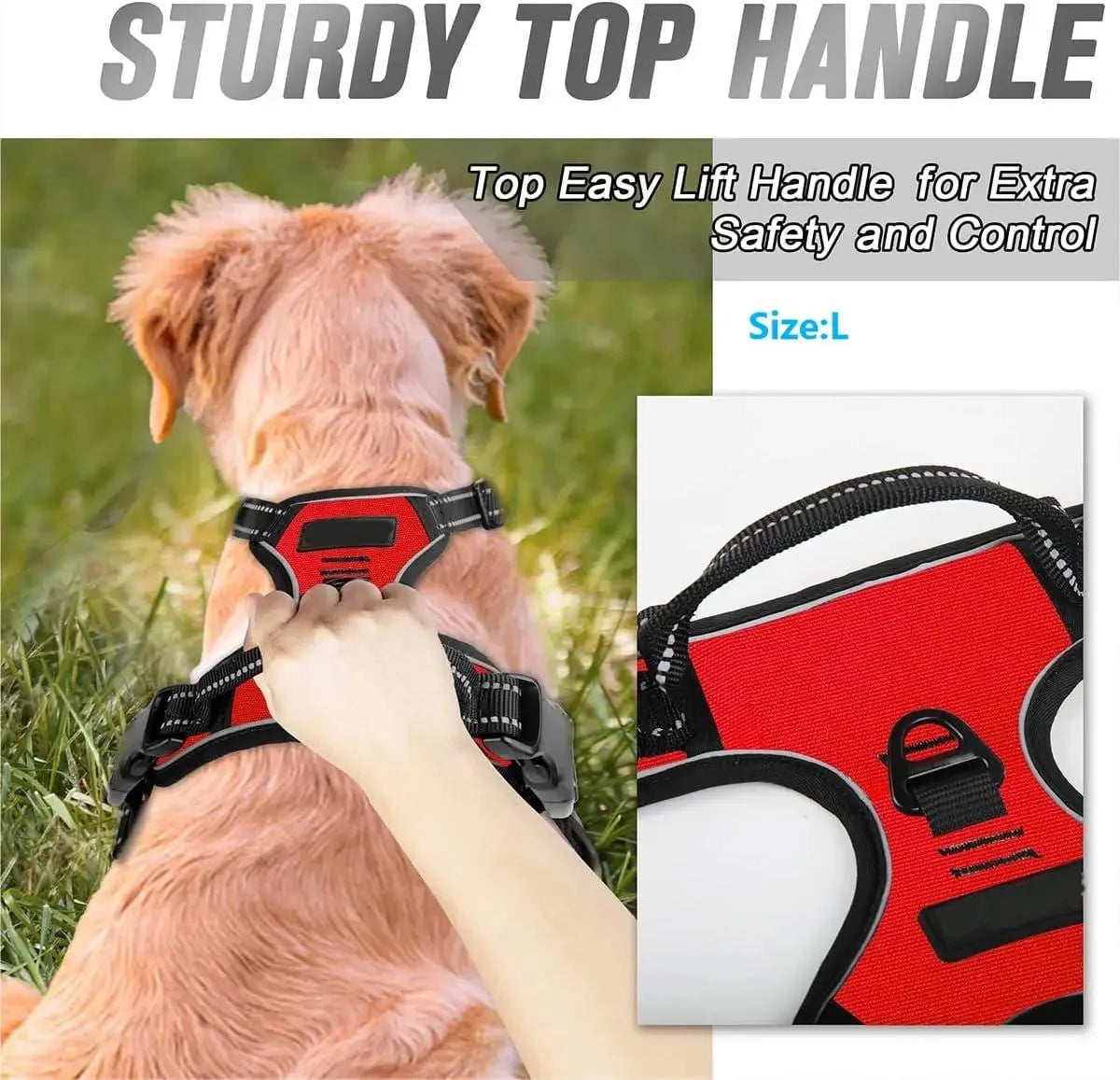 Big Vests Leash