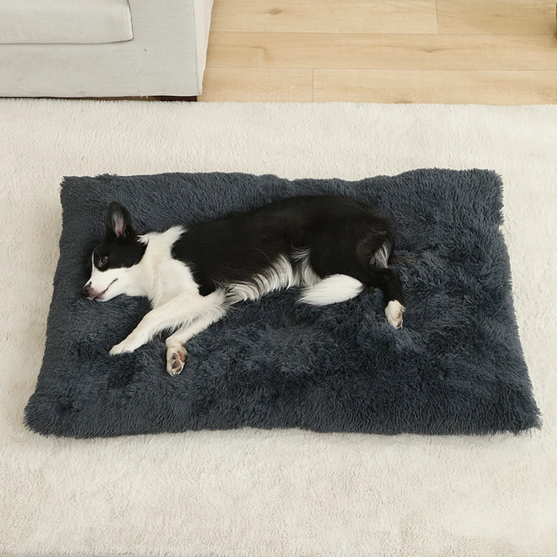 Best Pet Dog Bed