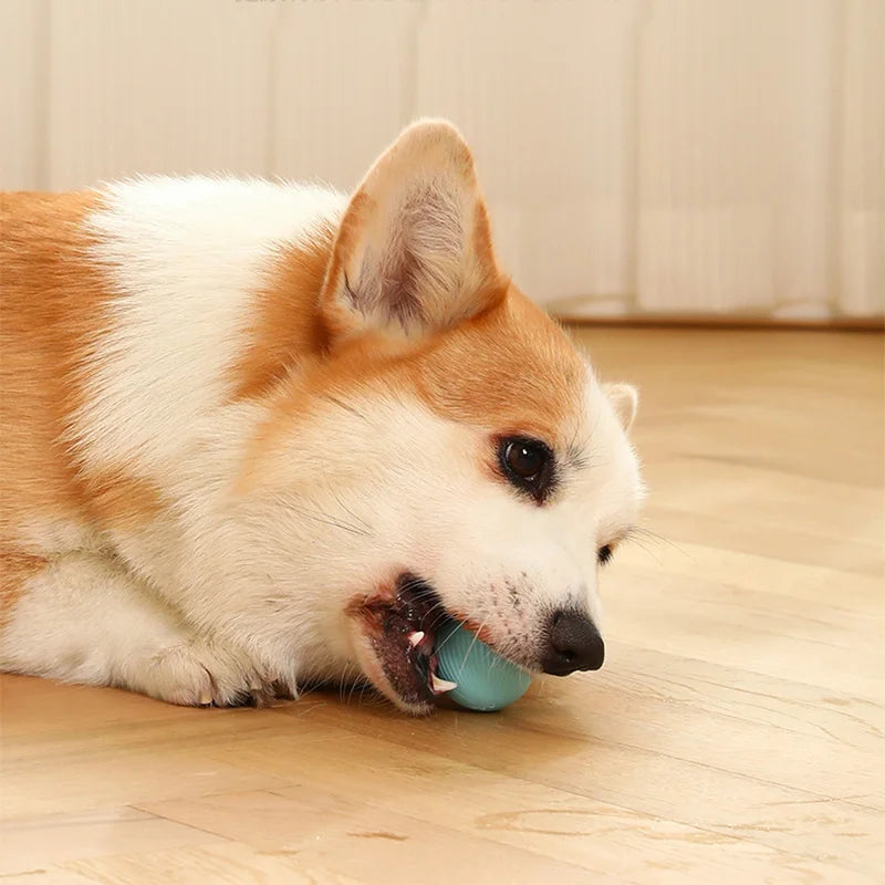 Auto Rolling Ball Self-moving Puppy Games Toys