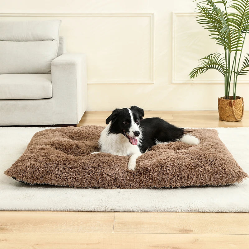 Best Pet Dog Bed
