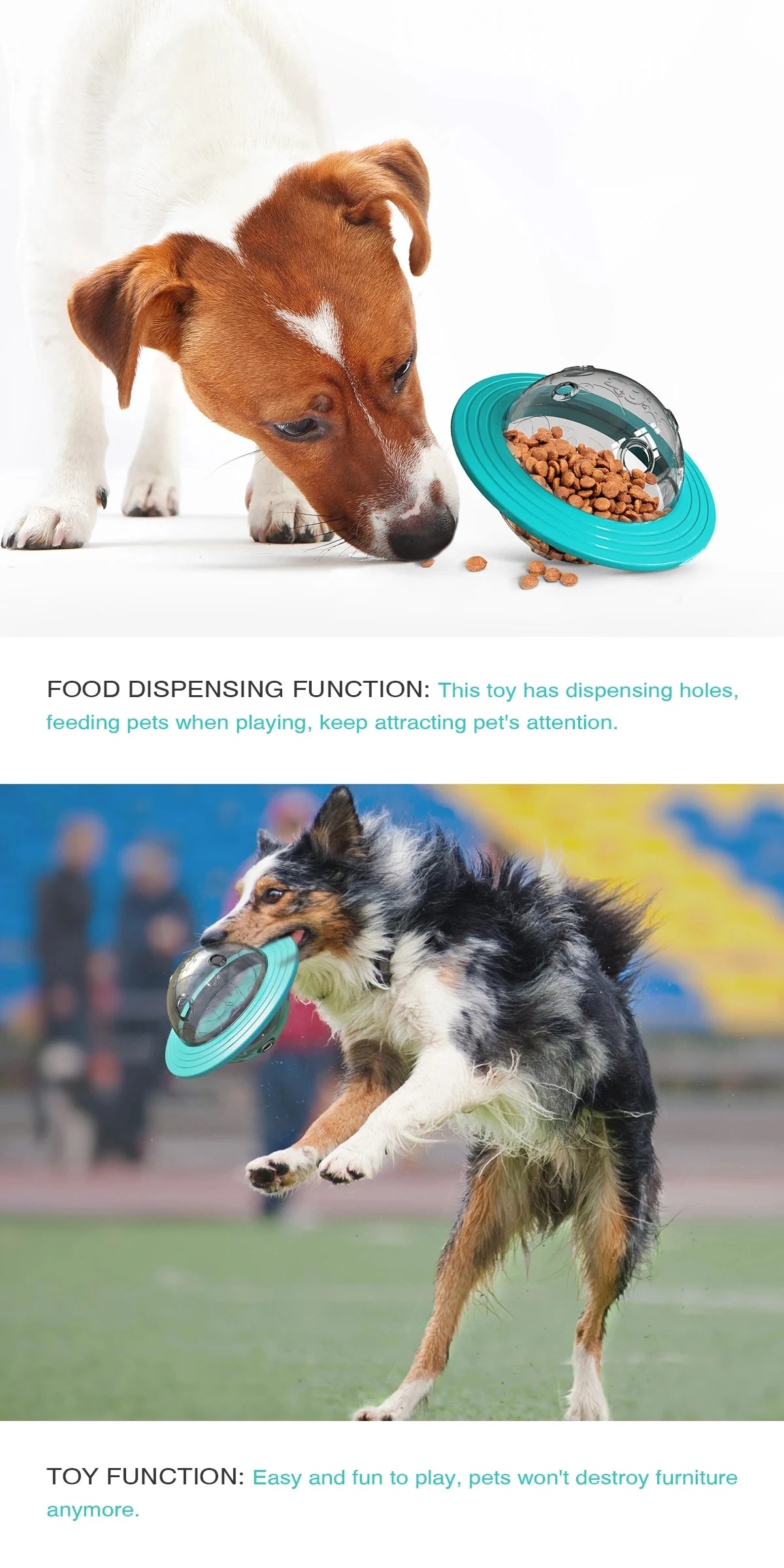 Slow Feed Dog Toy