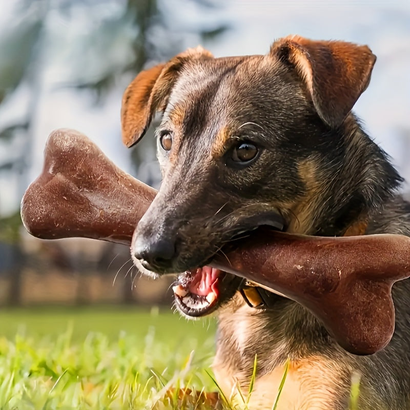 Beef-Flavored Durable Chew Toy