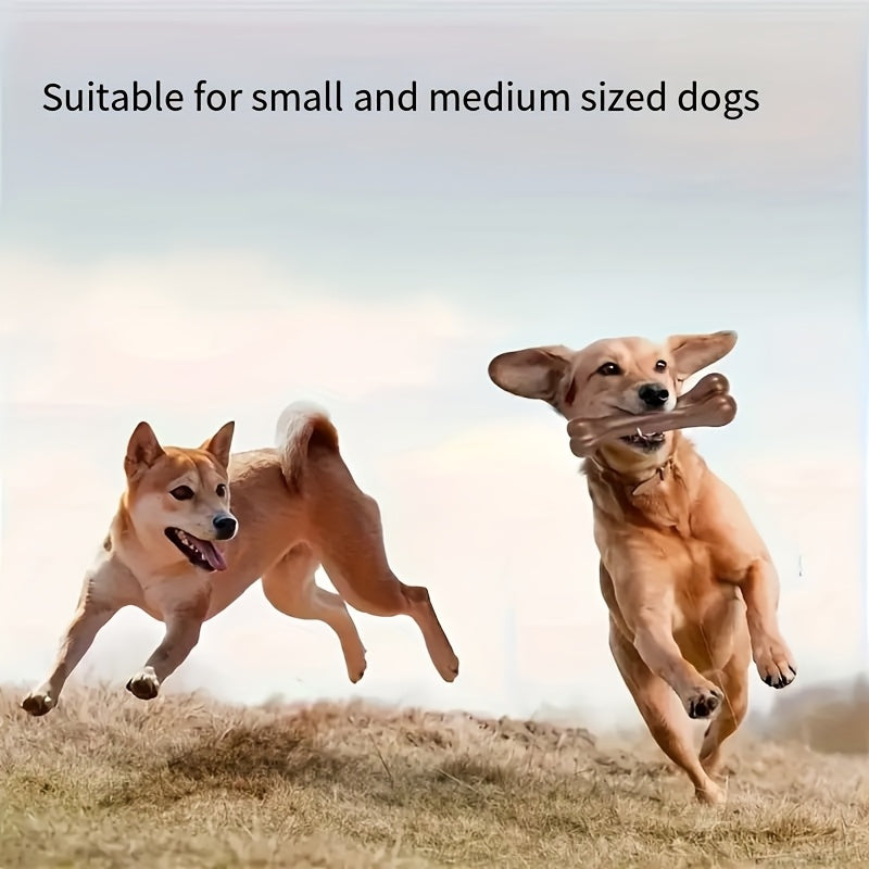 Beef-Flavored Durable Chew Toy