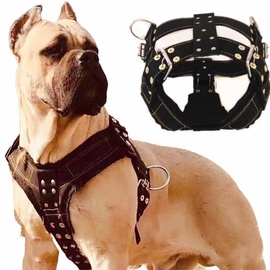 Dog Harness For Large Dog