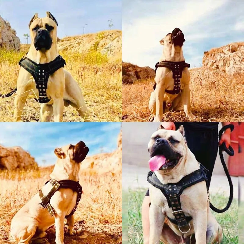 Dog Harness For Large Dog