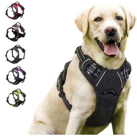 Big Vests Leash