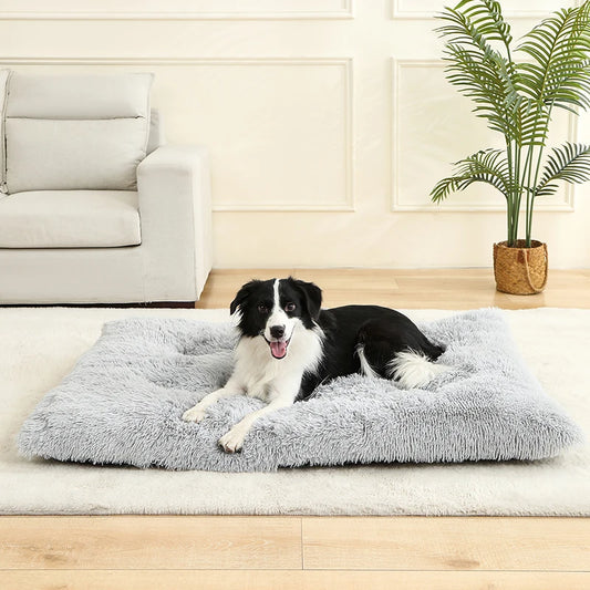 Best Pet Dog Bed