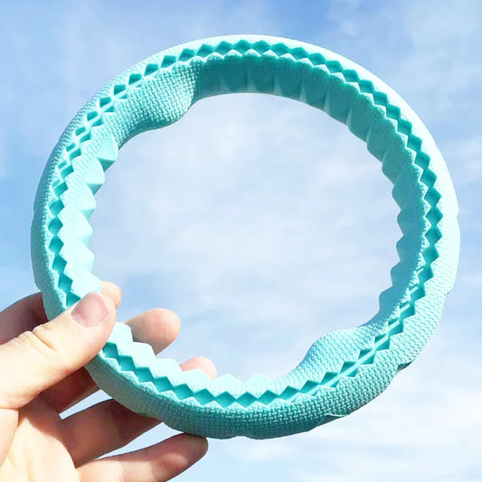 Dog Ring Toys